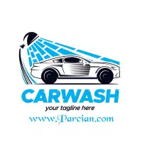 نیروی ماهر کارواش