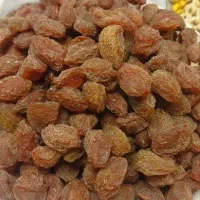 آلو|خوردنی و آشامیدنی|تهران, ولنجک|دیوار