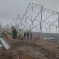 ساخت ونصب گلخانه|خدمات باغبانی و درختکاری|پیشوا, |دیوار