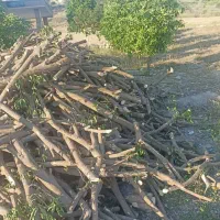 خریدارچوب مرکبات لیمو پرتقال لیموشیرین خشک