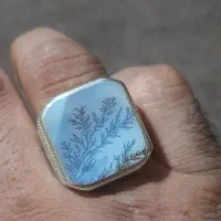 انگشتر شجر ککسیونی|بدلیجات|کرمانشاه, |دیوار