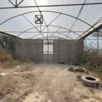 گلخانه 2000متری در خسروشاه