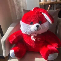 عروسک|اسباببازی بچه|آمل, |دیوار