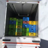 پادرا پلاس یخچالدار دوگانه فابریک|خودرو سواری و وانت|پیر بکران, |دیوار