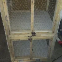 قفس جفت کن کبوتر