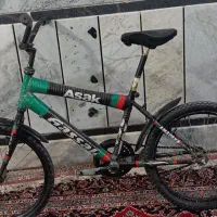 دوچرخه بیست