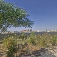 زمین-باغی-درخت-پسته-7-ساله-10هزار-متر