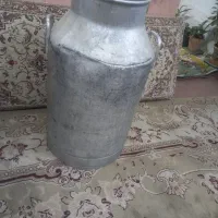 دبه روحی شیر سایز بزرگ