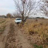 زمین باغی انگور ۶۰۰ متری خوش نقشه