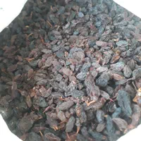 کشمش،مویز آفتابی بوانات شهدار گوشتی شیرین آمیرزا|عمدهفروشی|یزد, |دیوار