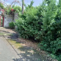 خانه ویلایی رشت آتشگاه