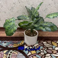 گل های درجه یک مصنوعی همراه با گلدان|گل مصنوعی|اهواز, کوی باهنر|دیوار