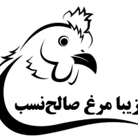 استخدام نیروی کار