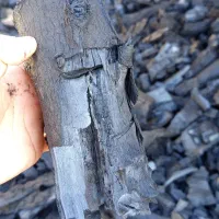 زغال کبابی با گارانتی کتبی|عمده‌فروشی|شوشتر, |دیوار