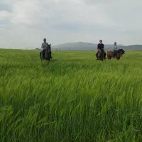 سوارکاری و گشت هفتگی در طبیعتی بکر