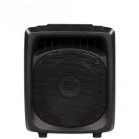 پرتابل شارژی و اکو همراه ۱۲ اینچ