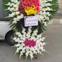 گل گیاه|گل و گیاه طبیعی|تهران, حر|دیوار