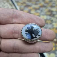 انگشتر شجر