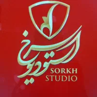 پرزنتور حرفه ای خانم