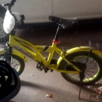 دوچرخه ۱۶ خوش رنگ