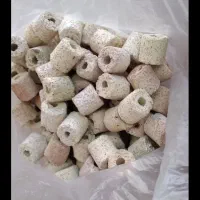 نمک آکواریم آب شور|ماهی|زنجان, |دیوار