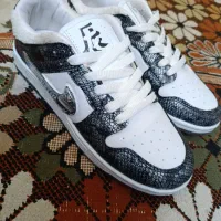 کفش نایک دراگون