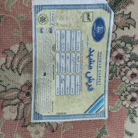 فرش ۳ در ۴ در حد نو|فرش|مشهد, سجاد شهر|دیوار