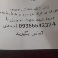 مدارک پیداشده.خانم کولانی