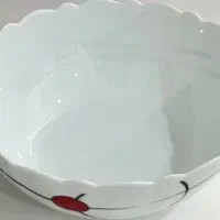 سرویس ایرکس