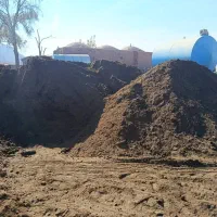 کودگوسفند|خدمات باغبانی و درختکاری|کرمان, |دیوار