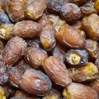 خرما بریمی