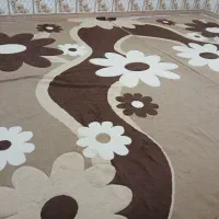 قالیباف ۱۲متری