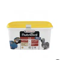 سرلاک ورسالاگا a19