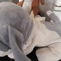 عروسک|اسباب‌بازی بچه|ملارد, |دیوار