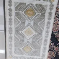 پادری فقط 180000تومان|پادری|رشت, رشتیان|دیوار
