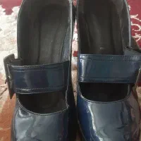 کفش مجلسی