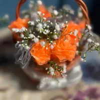 گل جاودانه ربانی|گل مصنوعی|آستارا, |دیوار