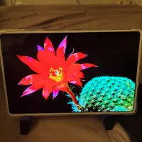Huawei matepad pro|تبلت|تهران, میدان ولیعصر|دیوار