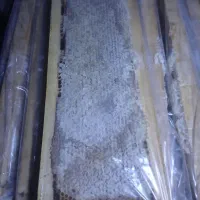 عسل|خوردنی و آشامیدنی|رشت, شهرک قدس|دیوار