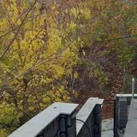 اجاره روزانه/هفتگی/ماهانه ویلا ۱۶۰ متری