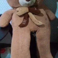 خرس بزرگ