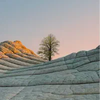 خط رند دائمی همراه اول