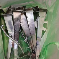 رگال