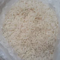 برنج قائم اطمینان درهردانه