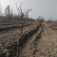 باغچه ۱۰۰۰ متری در سوپورغان|فروش دفتر صنعتی، کشاورزی، تجاری|ارومیه, |دیوار