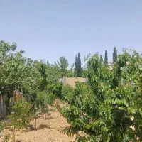 باغچه سپیدان هماشهر پشت جاده
