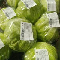 سورت و بسته بندی کاهو|استخدام صنعتی، فنی، مهندسی|دزفول, |دیوار