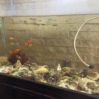 آکواریوم بزرگ همراه با ماهی و لوازم