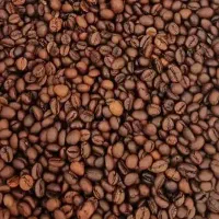 پخش قهوه رُستیکا