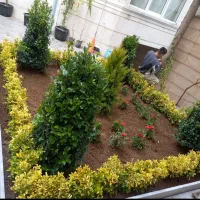 نهالستان خدمات باغبانی کاشت درختکاری کوددهی هرس